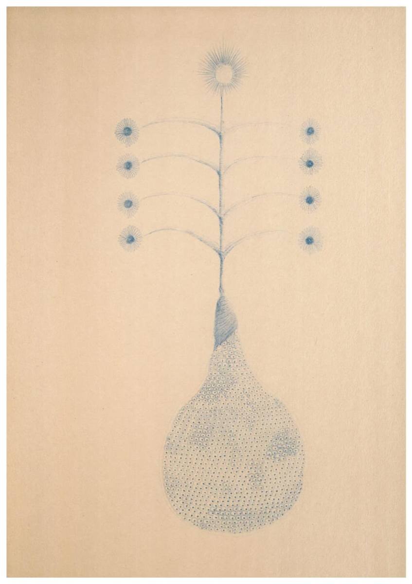 Planta Azul 8/10 by Jose Mejía Gomez 