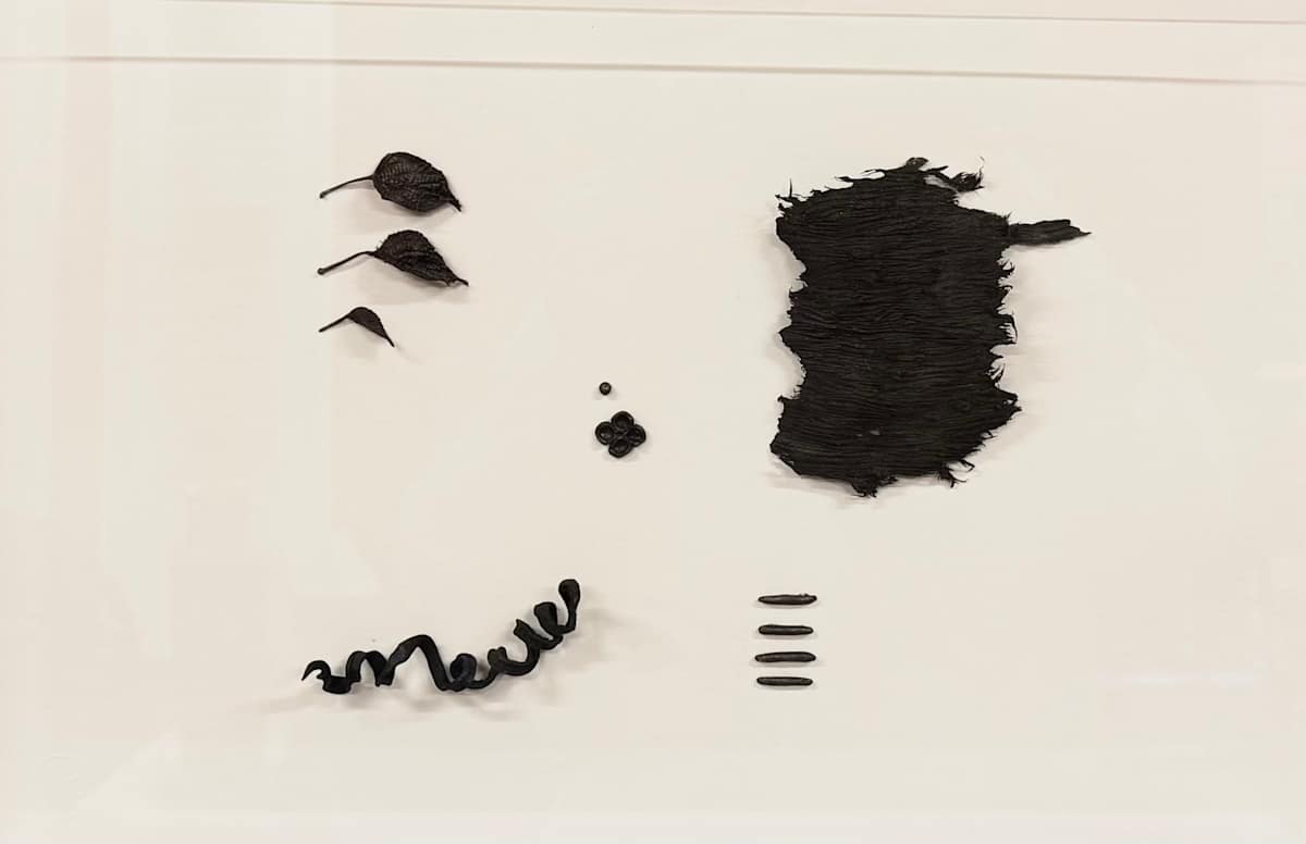 Inventario grafito 03 by Jairo Manzano 