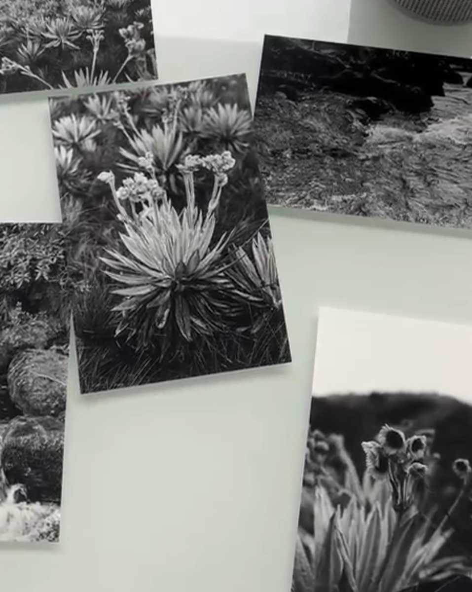 Postales by Paula Rojas 