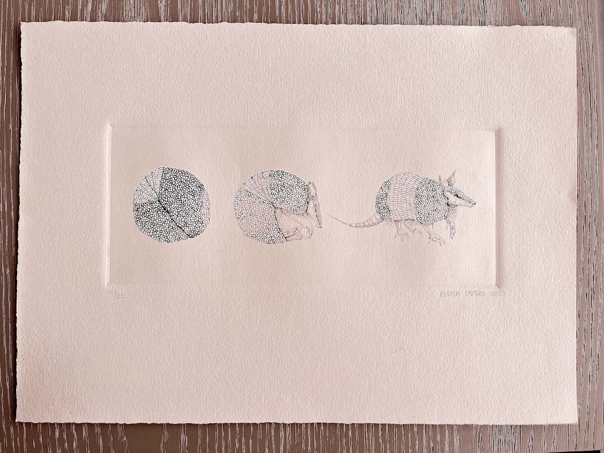 Armadillo 7/25 by Eloisa Castro