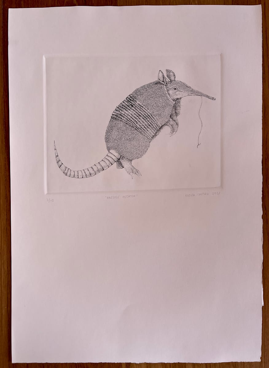 Armadillo 3/15 by Eloisa Castro