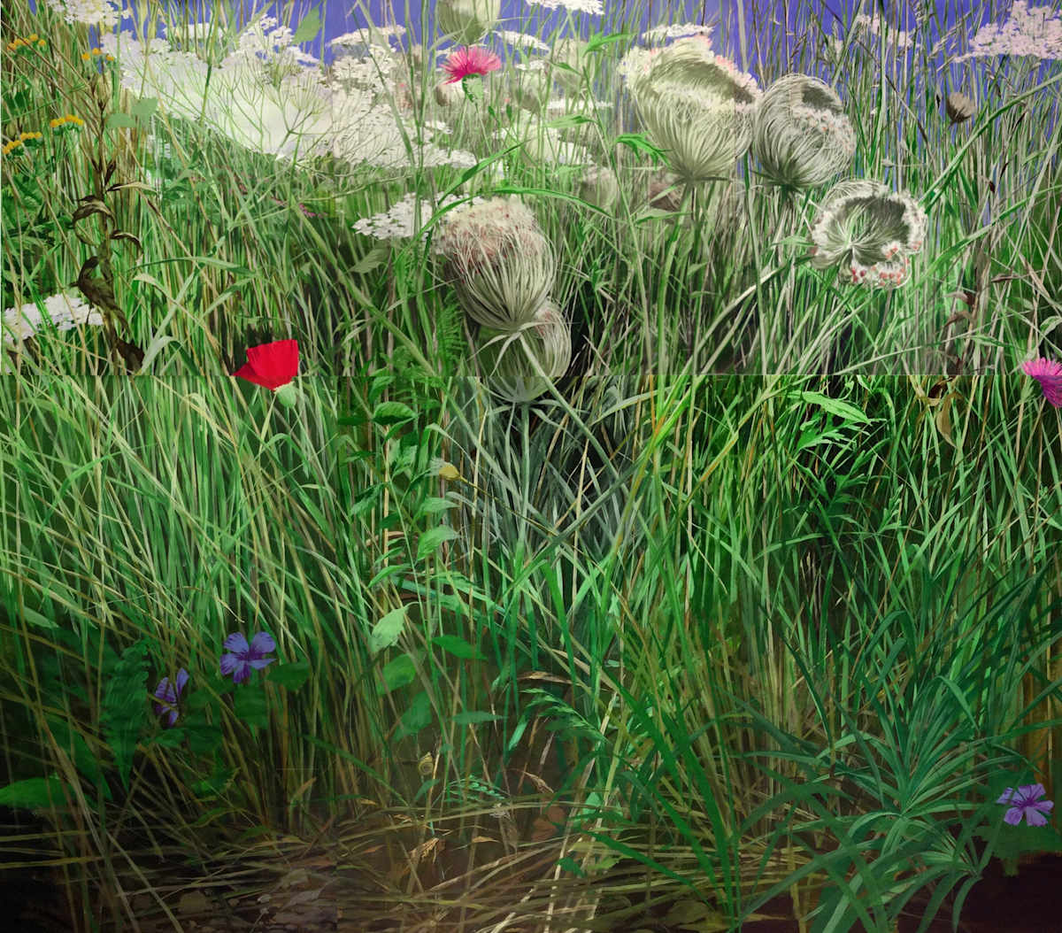 Queen Anns Lace #1 by Adam Cvijanovic  Image: Adam Cvijanovic, Queen Anns Lace #1, 2007, Flashe and latex on Tyvek, 118 1/2 x 104 in. Inventory no. AC-2007-P-002. Courtesy of the artist.