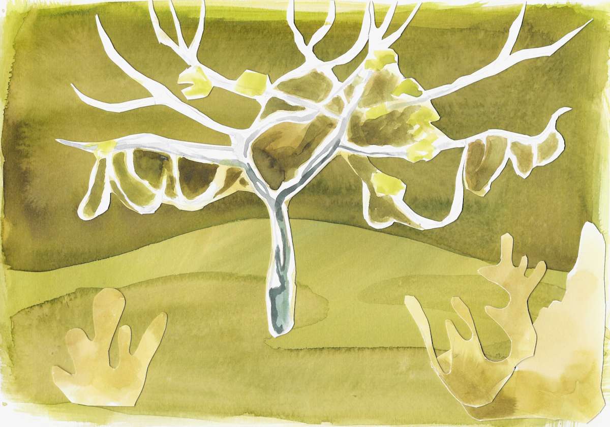 Fig Tree at Dusk by Emma Santos, Image 2.