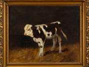 Boci by Illés Aladár Edvi 