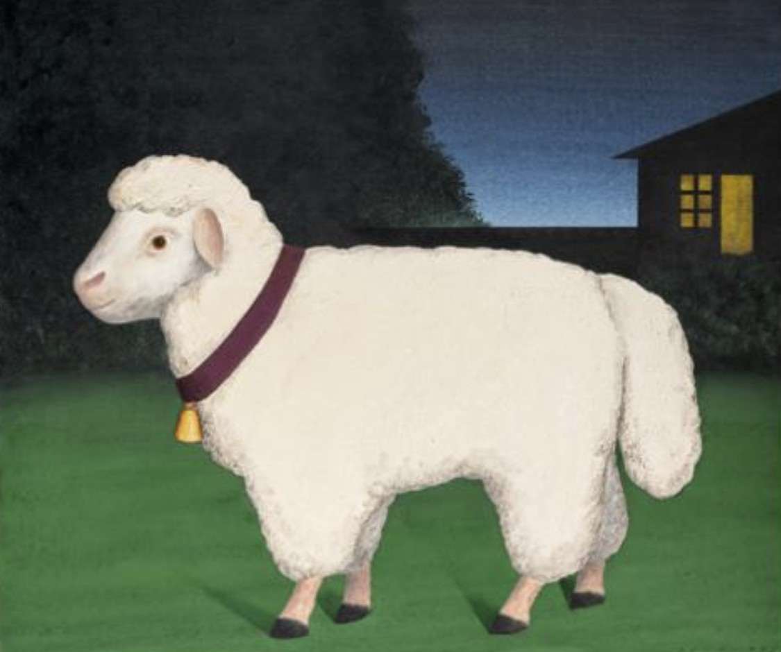 Bárány - Sheep by István Regős 