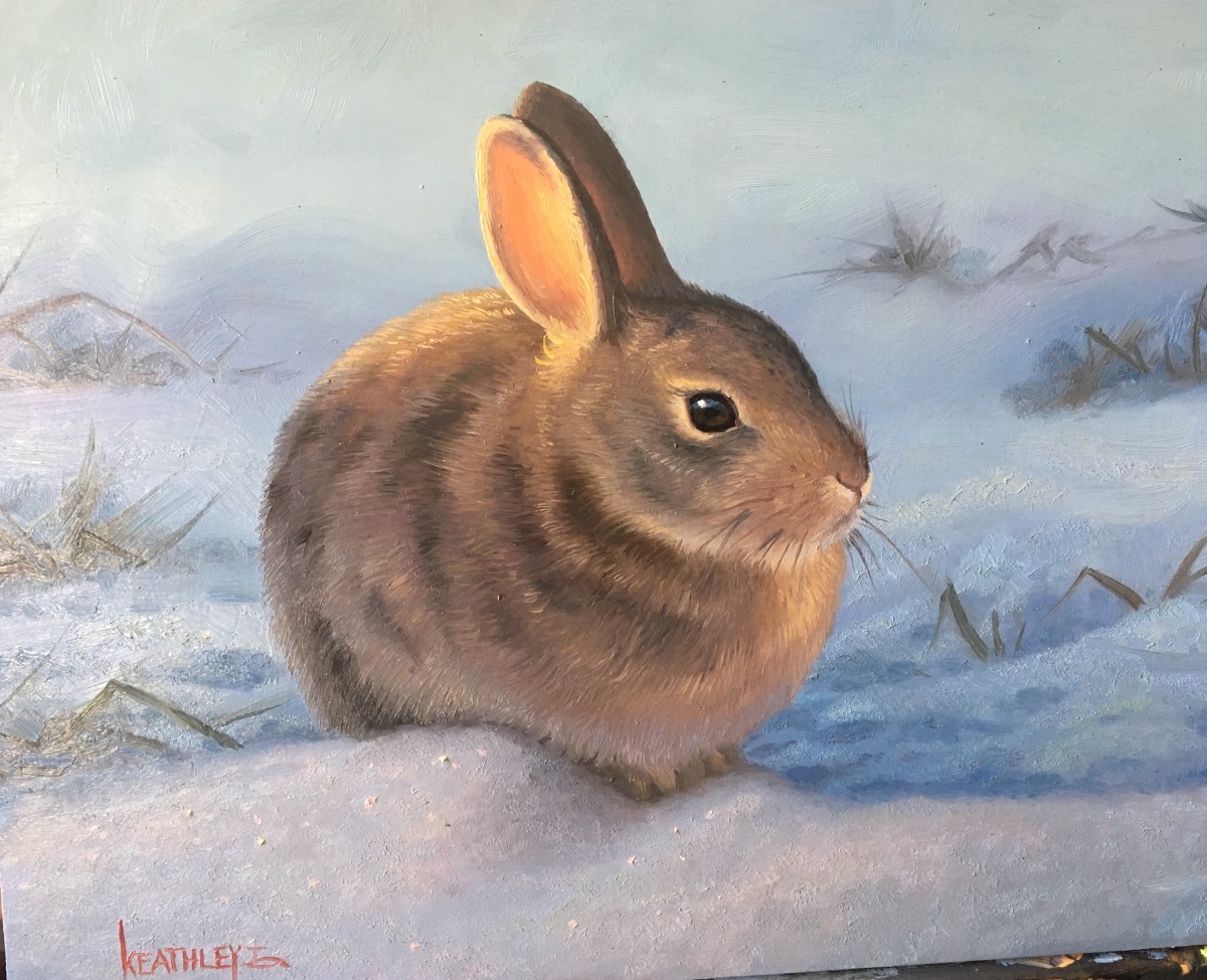 Cute little bunny by Mark Keathley 