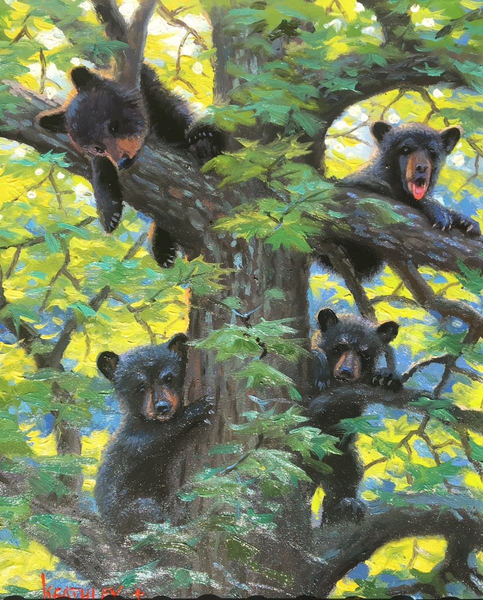 Nap time by Mark Keathley 