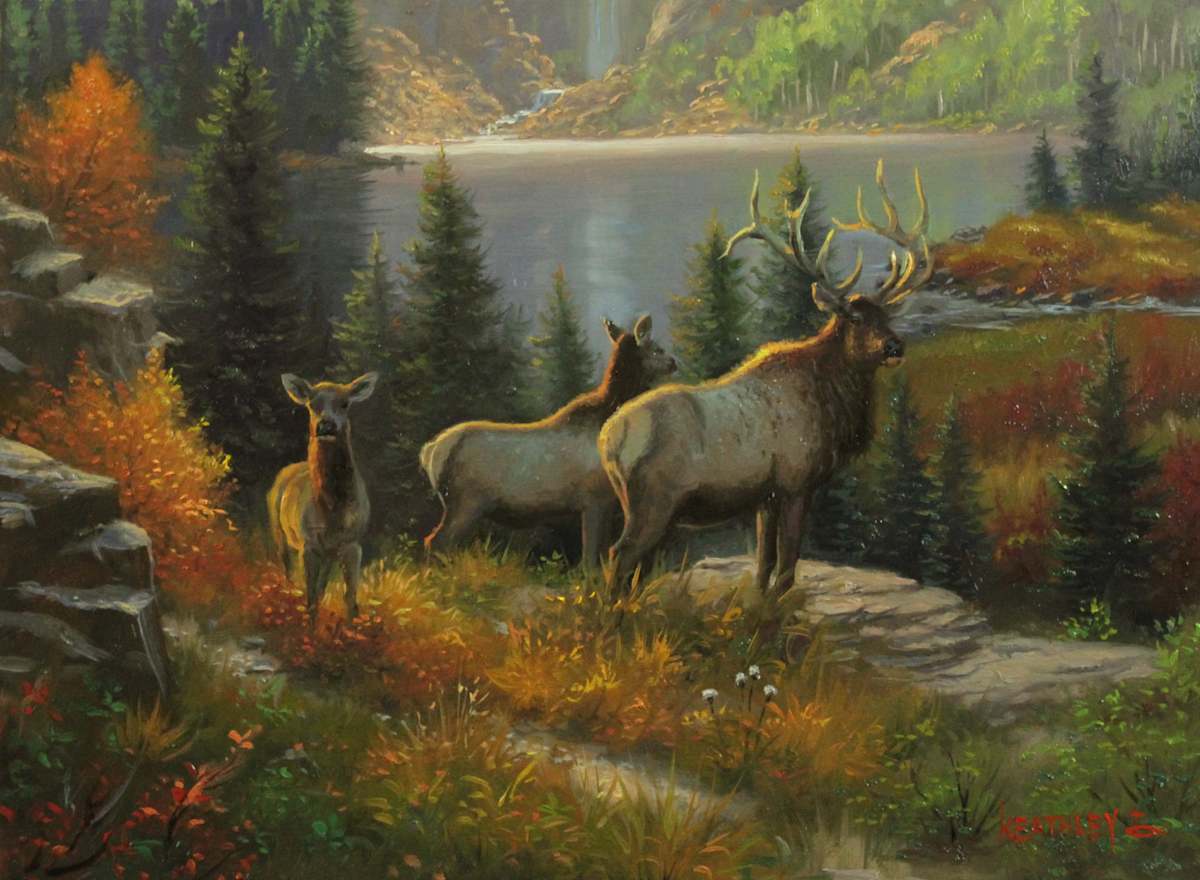 Overlook by Mark Keathley, Image 1.