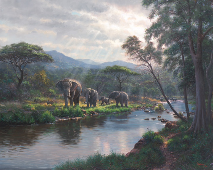 Safari Dreams by Mark Keathley 