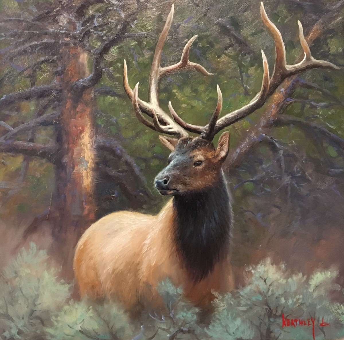 royalty by Mark Keathley 