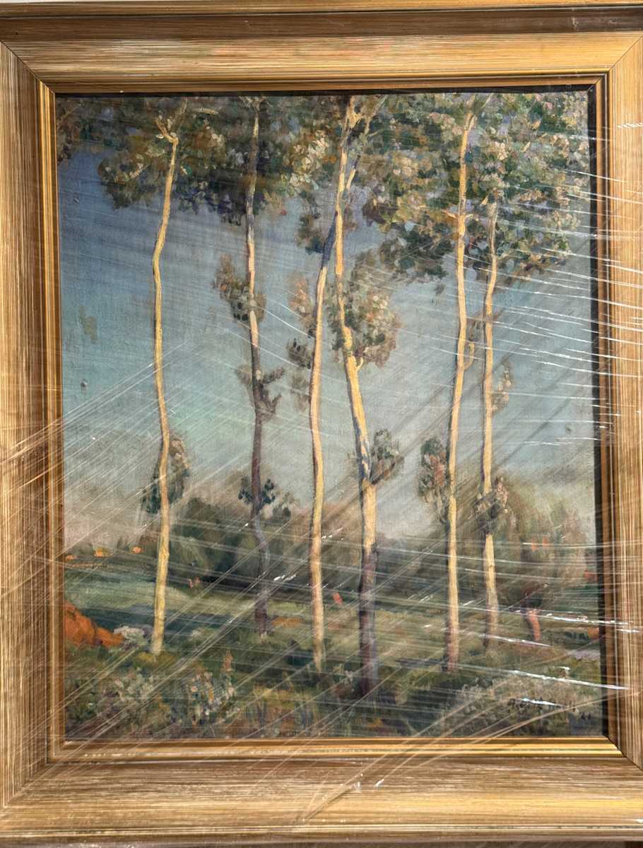 Pineda de Olle Pinell by Xano Armenter, Image 1.