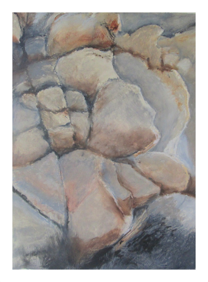 Desert #7: Backbones by Judith Bair 