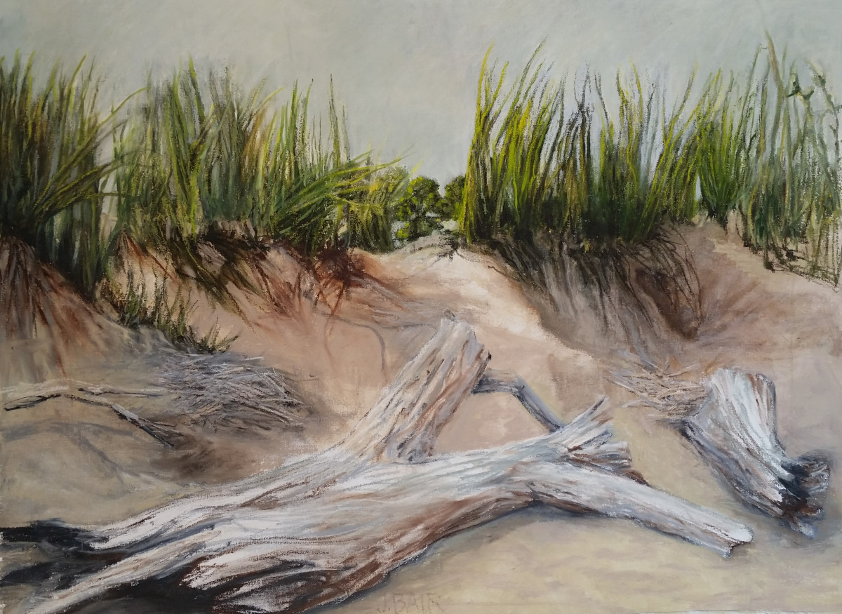 Beached by Judith Bair, Image 1.