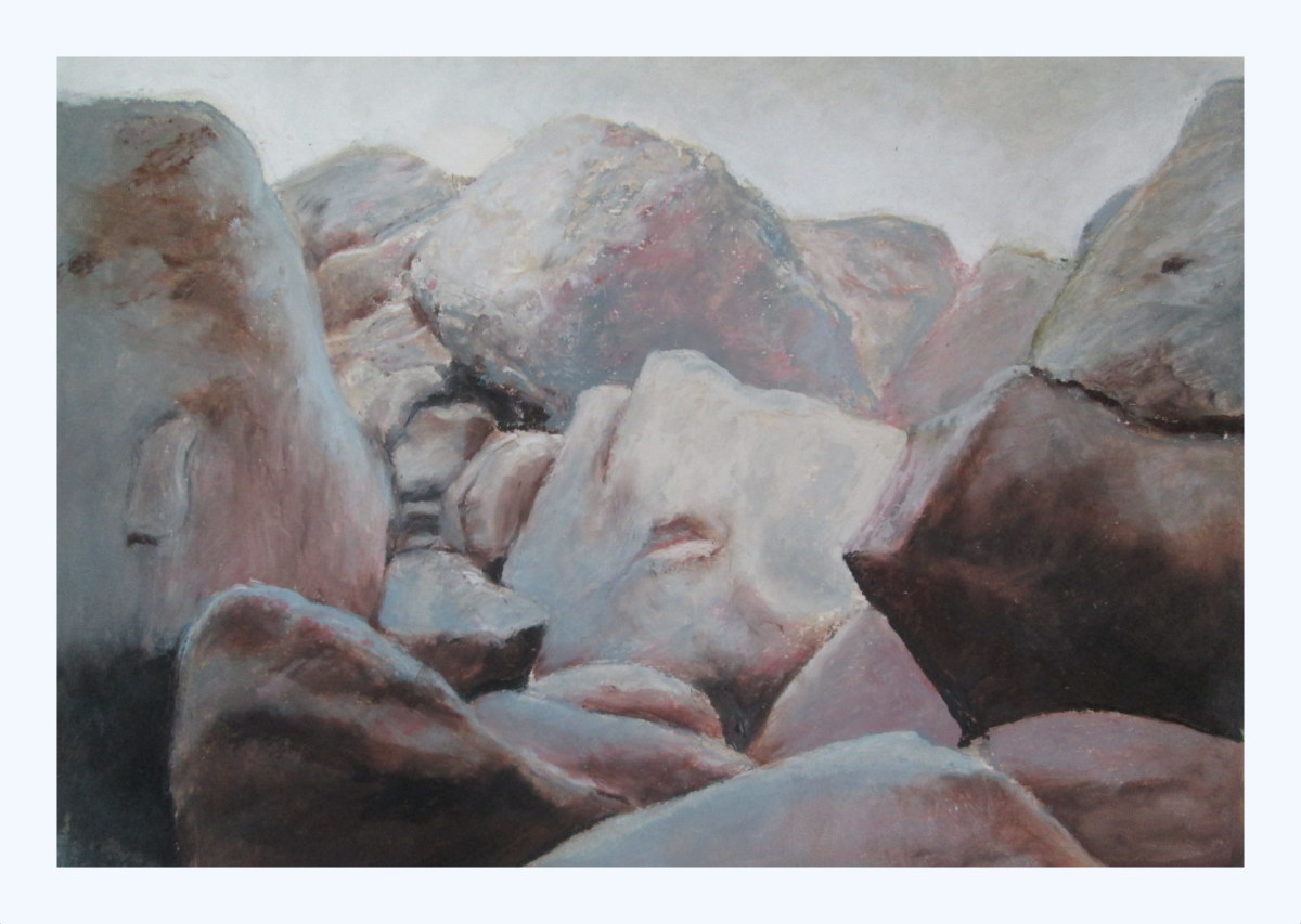 Desert #8: Wilderness by Judith Bair 