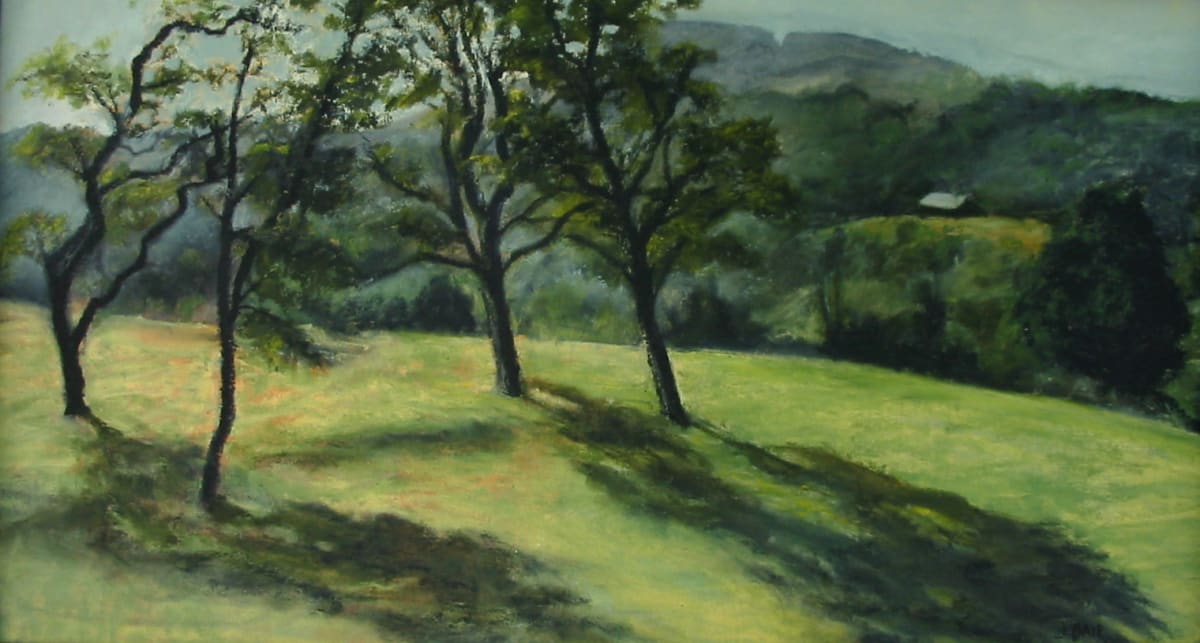 Locusts, July by Judith Bair 