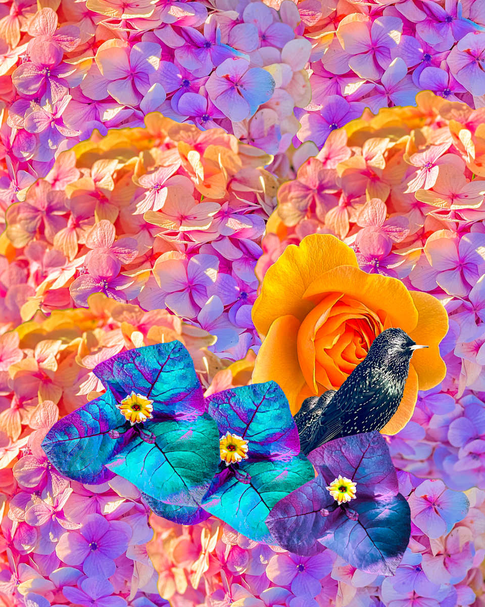 Untitled by Dinah Kumbera, Image 1.