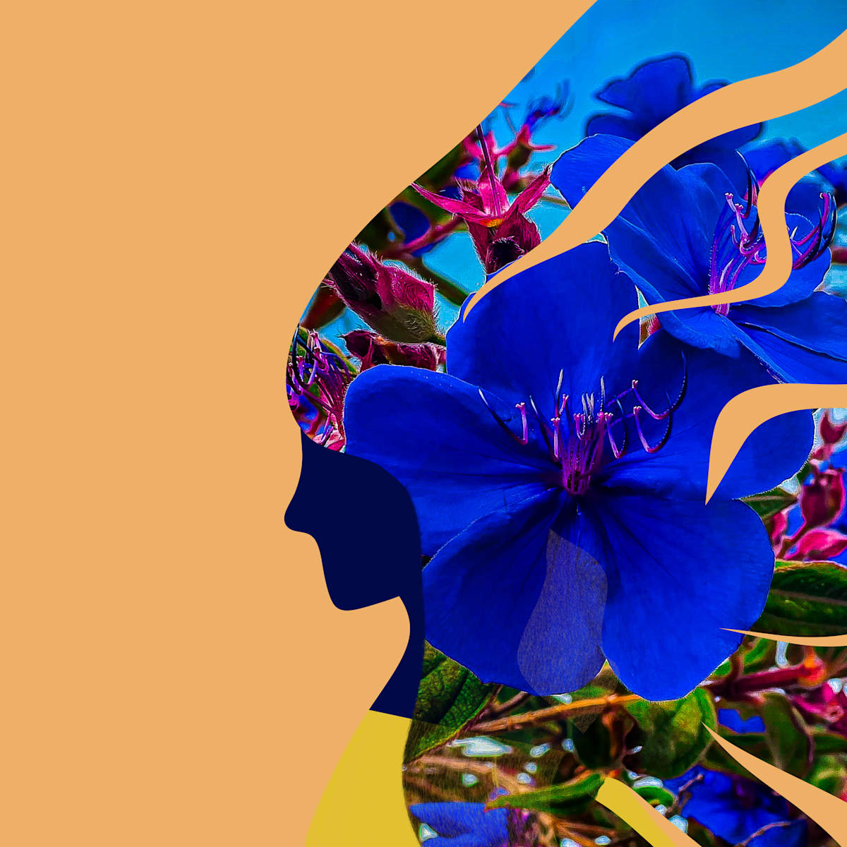 Untitled by Dinah Kumbera, Image 1.