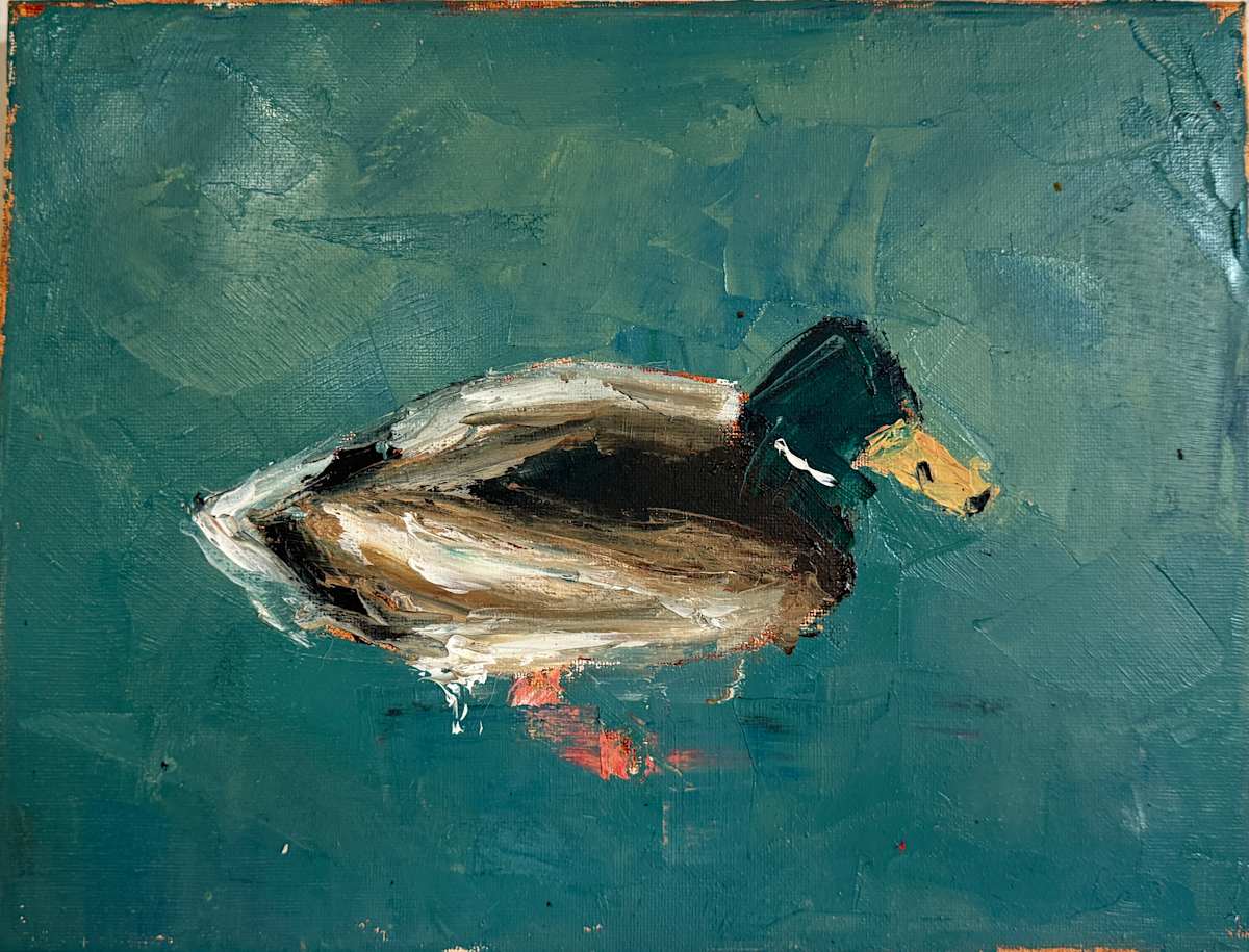Madrid Mallard by Olivia Sanchez 