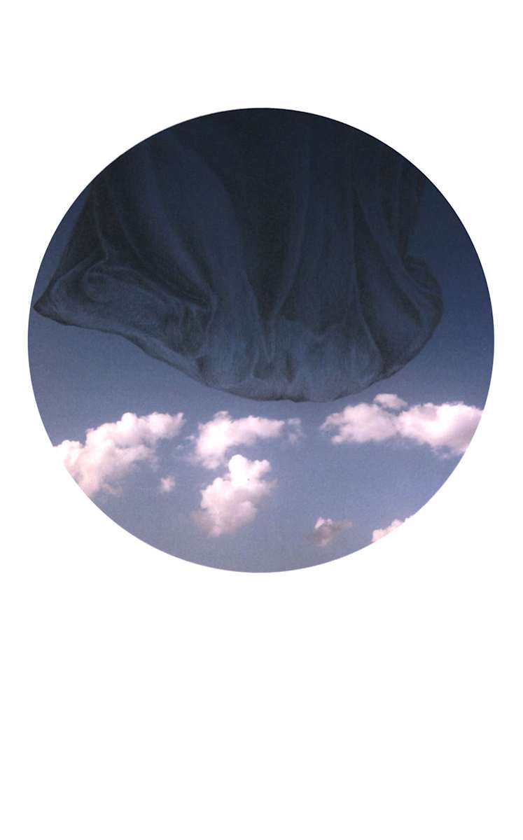 Beyond the Delicate Air by Jennifer Printz, Image 1.