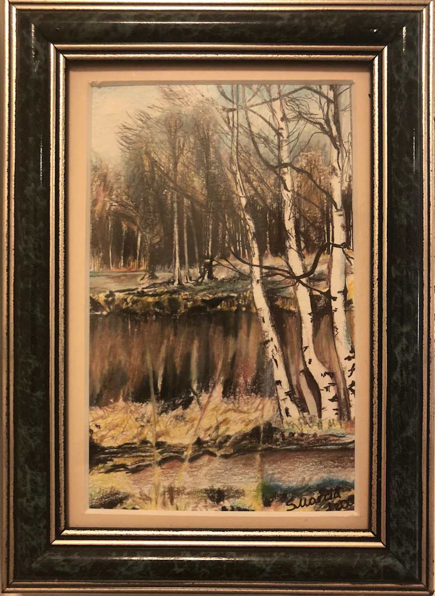 Birch Trees by Masha Schwartz Art 