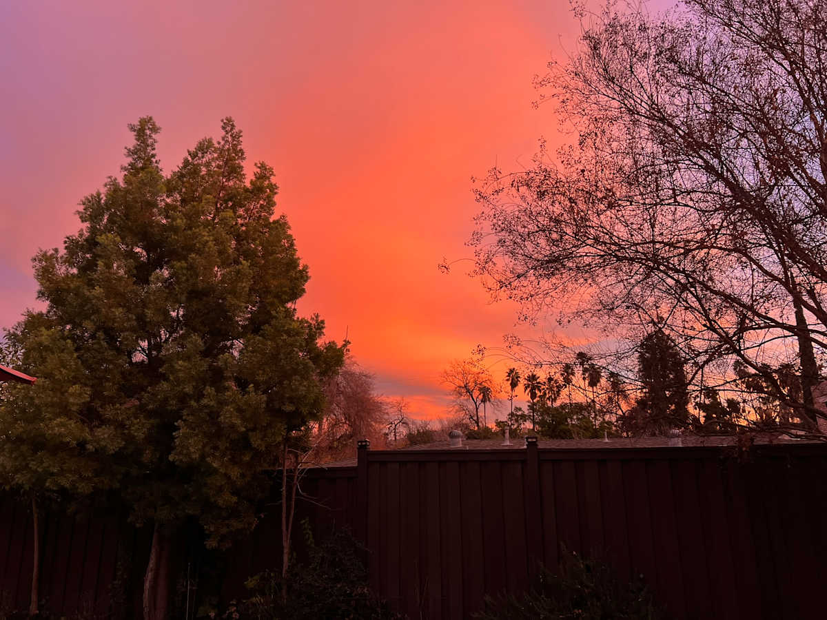 2024 Fire Season, Redlands, California by Marie Louise Bosin  Image: Fire Season