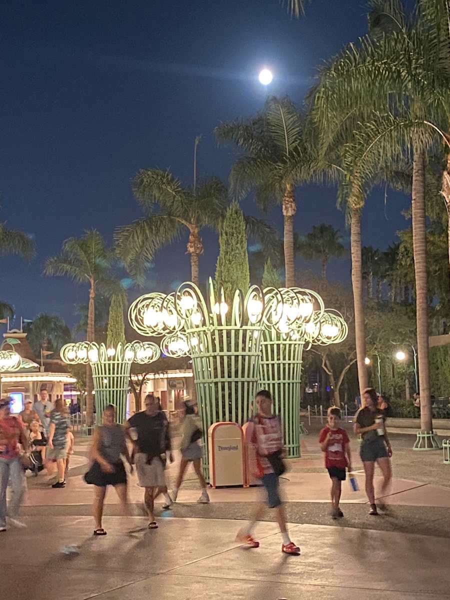 Full Moon at Disneyland by Marie Louise Bosin, MA  Image: Full Moon at Disneyland