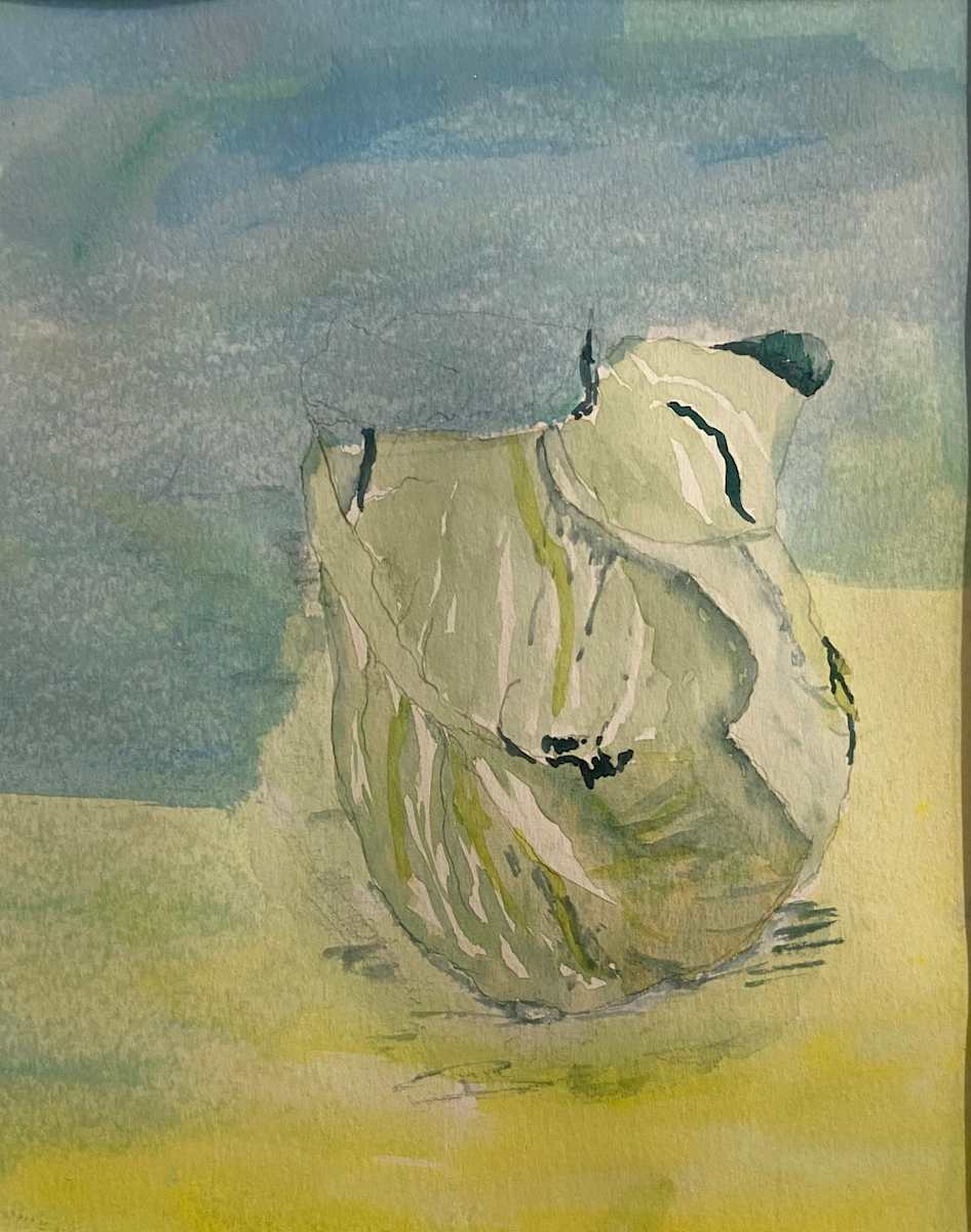 Cabbage Head - Original Watercolor by Marie Louise Bosin, MA  Image: Cabbage Head - Original Watercolor