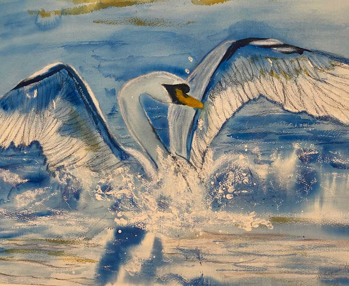 Original Swan landing on Lake by Marie Louise Bosin, MA  Image: Watercolor Swan Landing on Water