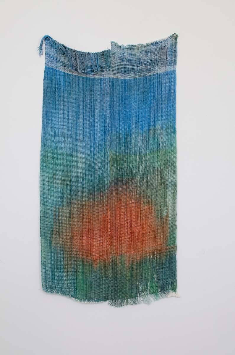 Lions Mane by Colleen McCubbin Stepanic, Image 1.
