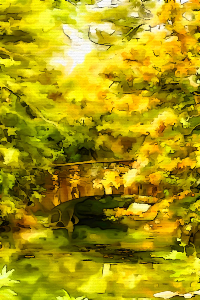 Autumn's Passage Over Quiet Waters by Daniel Butler 
