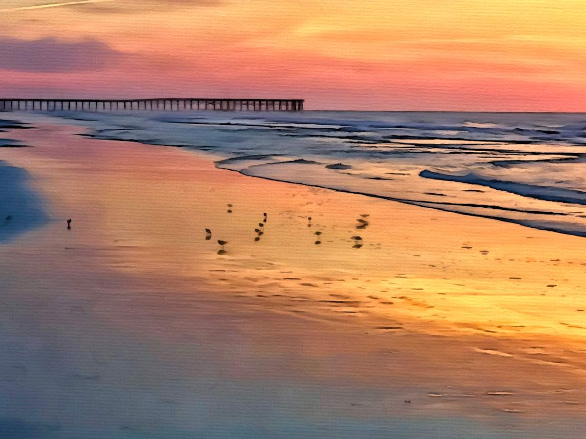 Golden sunrise with pier & shore birds - Topsail Island #4 by Daniel Butler  Image: Golden sunrise