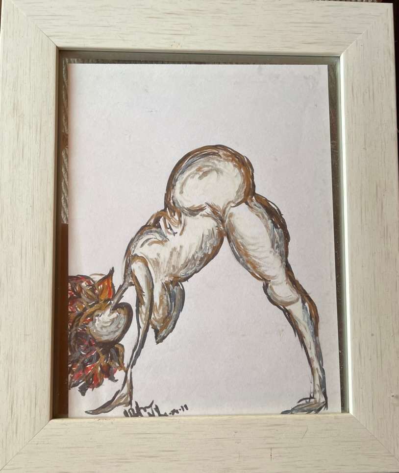 Downward Dog by Yolanda Patton  Image: What the Downward Dog really looks like...