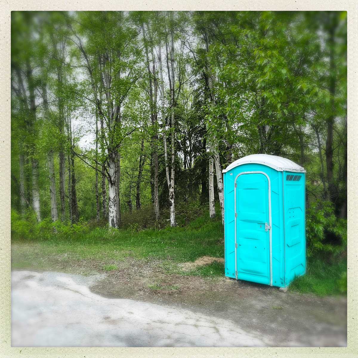Does A Bear? by Sherry Ross  Image: Deep within the remote, untamed greenery of an Alaskan forest, nature reigns supreme—until an unexpected burst of bright aqua interrupts the scene. A somewhat dilapidated porta-potty stands defiantly among towering trees and moss-laden undergrowth, its artificial hue clashing boldly with the organic world around it. Weathered by the elements, it becomes an unintentional focal point, a humorous yet oddly poetic reminder of human presence in the wild. Here, in the heart of untouched wilderness, this forgotten structure tells a quiet story of necessity, abandonment, and the absurdity of contrast.
