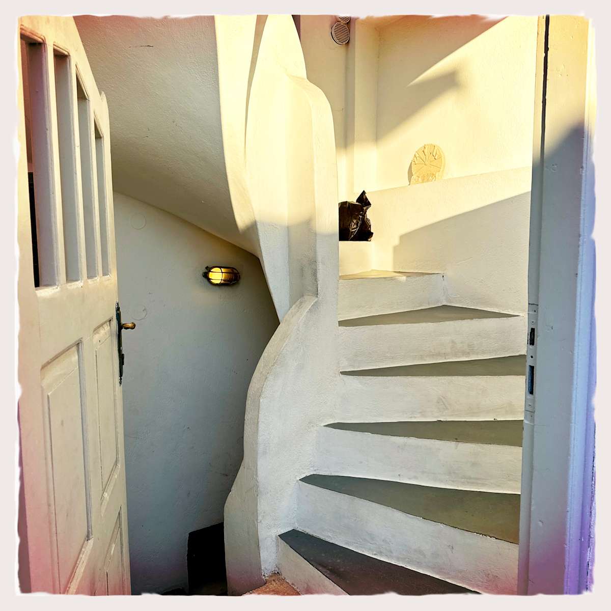 Doorway at Dusk by Sherry Ross  Image: This doorway, left tantalizingly open, reveals the graceful curve of a stairwell beyond—quietly inviting exploration. The tonal range of pale blue-grey and bright white shifts with the changing sunlight, while the golden Greek sunset floods the entryway, expanding the palette and casting new forms as shadows dance across the surfaces.

My ongoing fascination with doors and entryways is on full display in this work. I am always left wondering what lies beyond—what wonders might unfold, what adventures might await—if only I were to step through the portal.