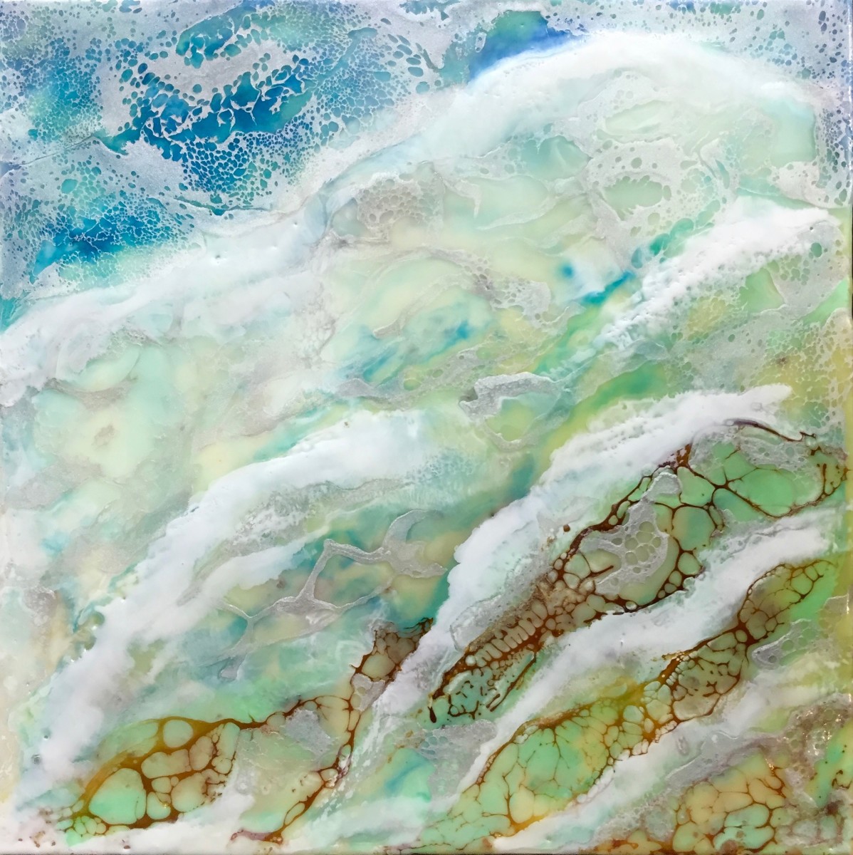 Conchas de Bahia by Christine Deemer 