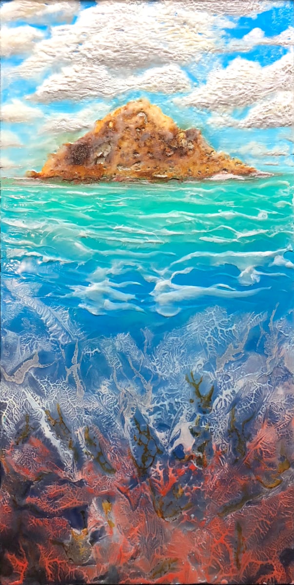 Coral Bleaching by Christine Deemer, Image 1.