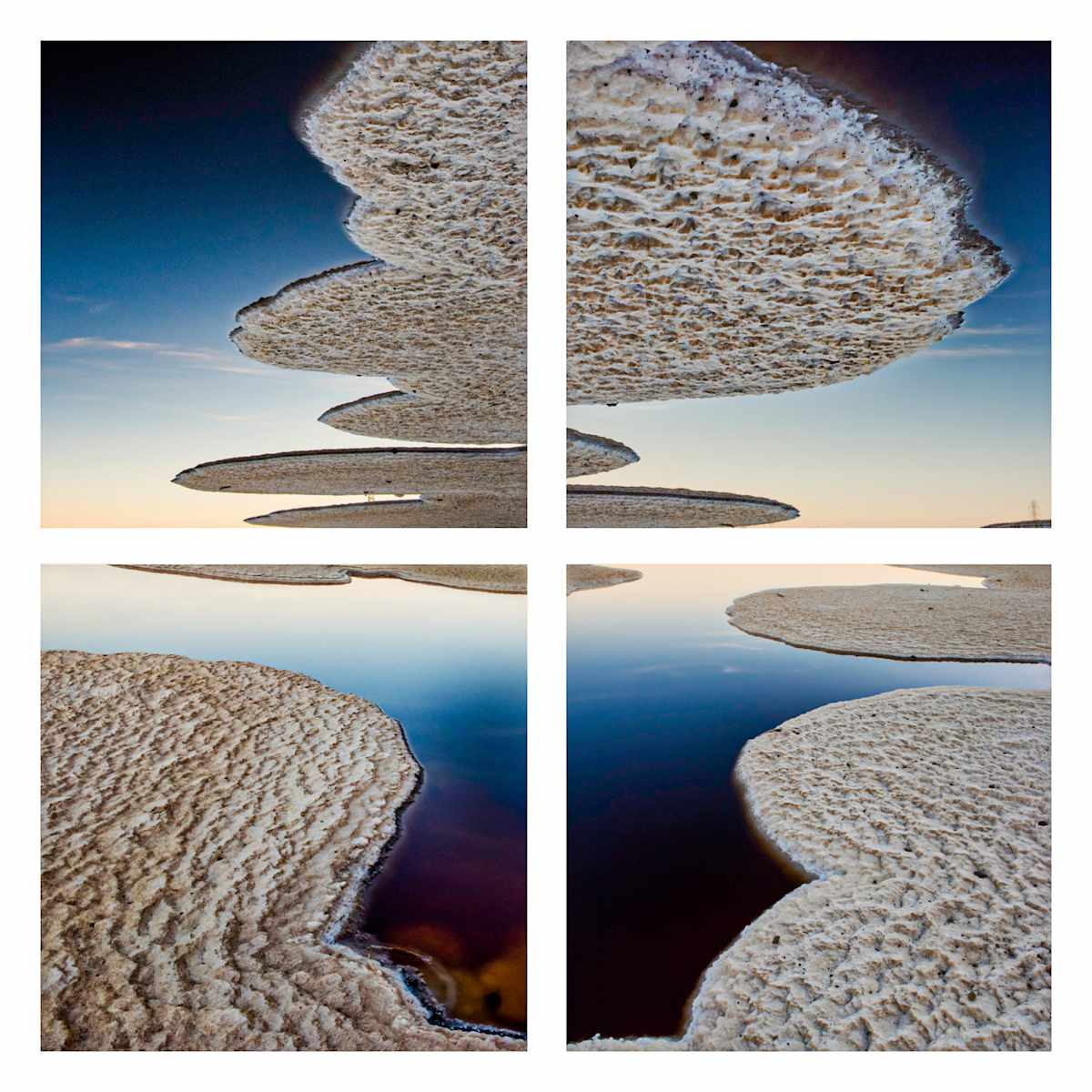Salt Pond Grid VI by Barbara Boissevain 