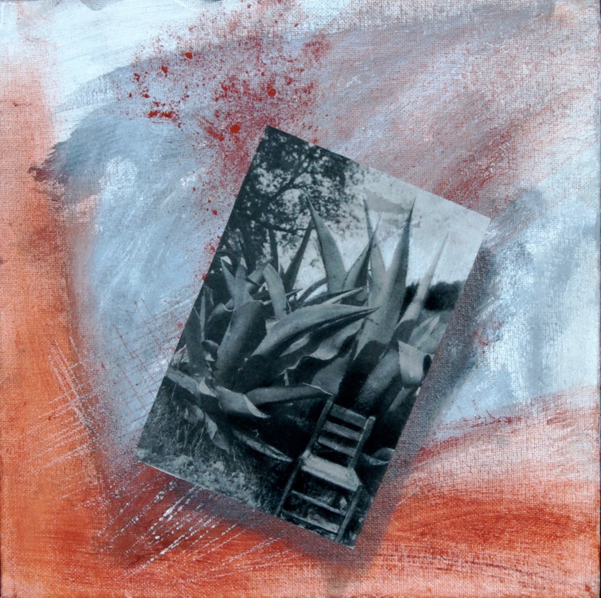 Red Powder by Antonia Guerrero 