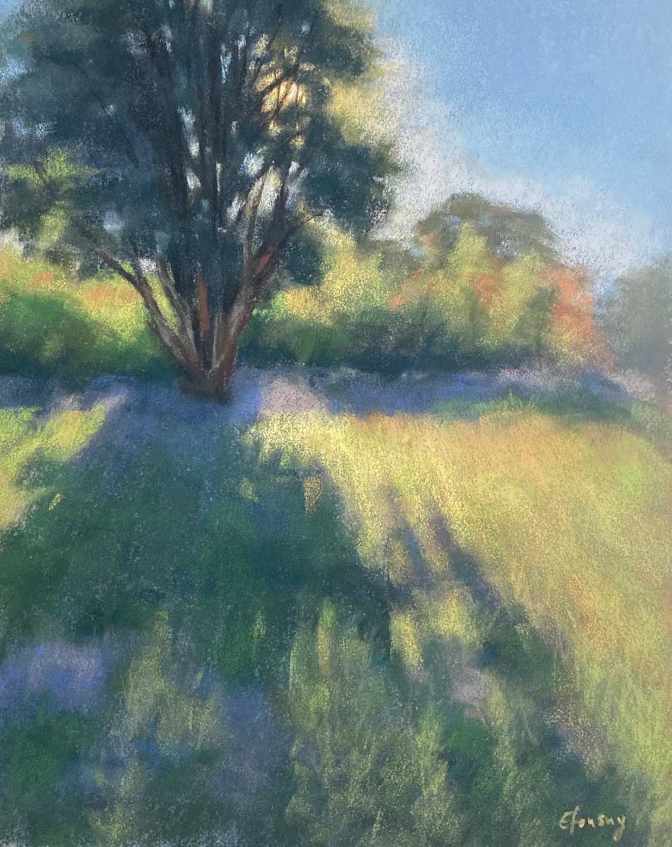 Backlit Tree by Emmanuelle Fonsny 