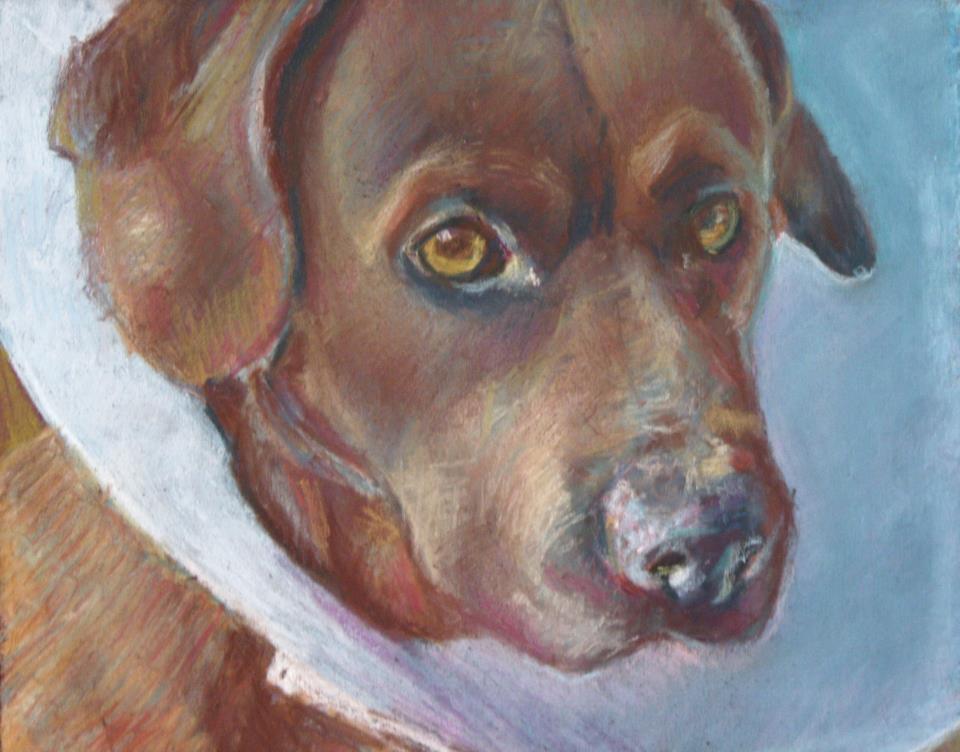 Koh-Koh by Beth Lowell 