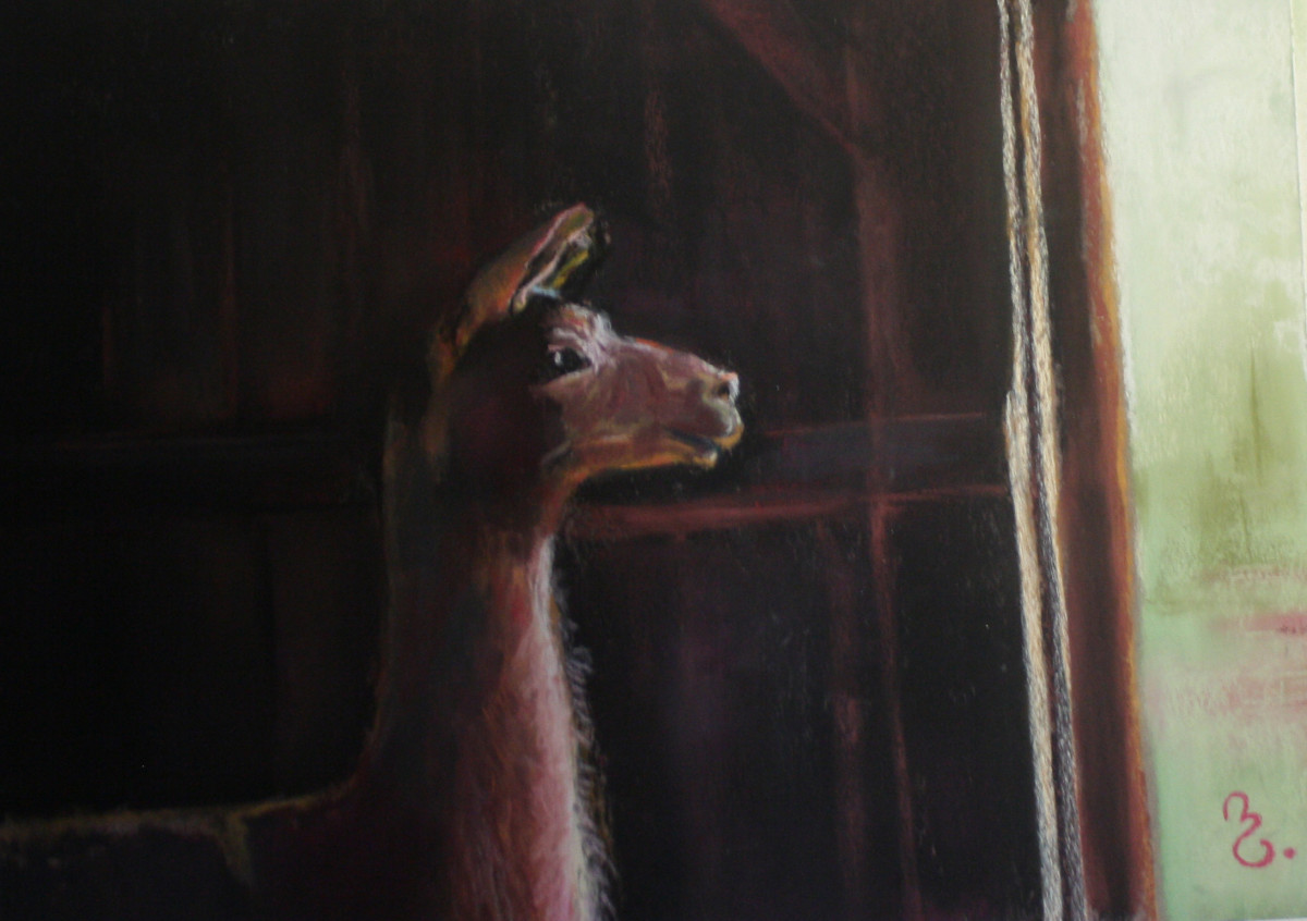 Llamalot by Beth Lowell 