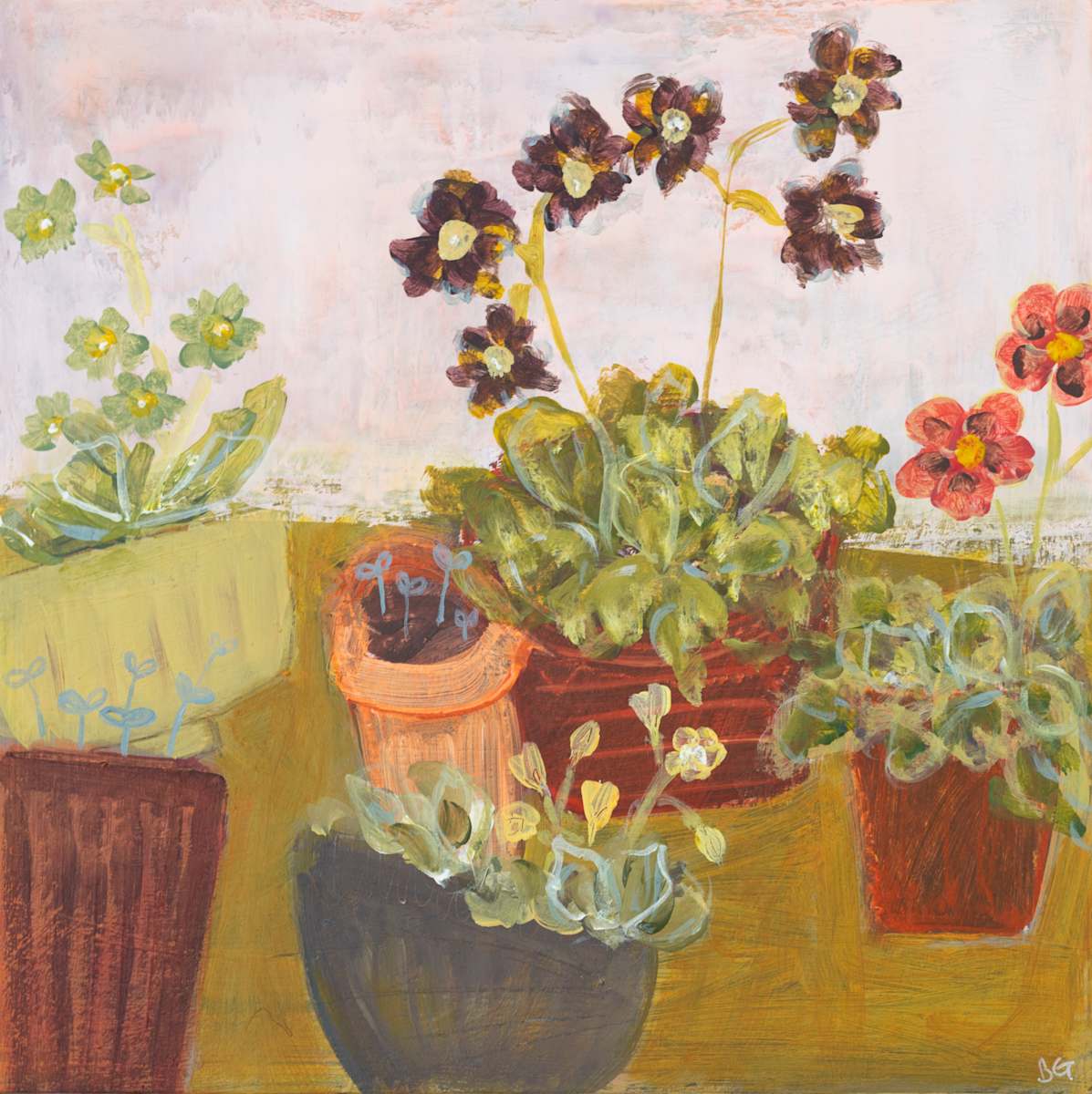 Posh Primroses by Brigitte Girling 