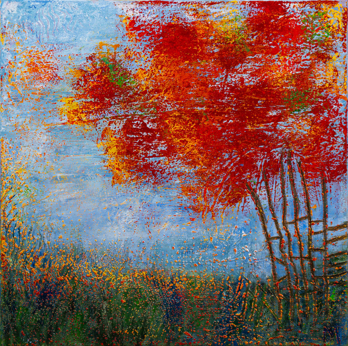 Everything within its place by Michelle Graham, Image 1.