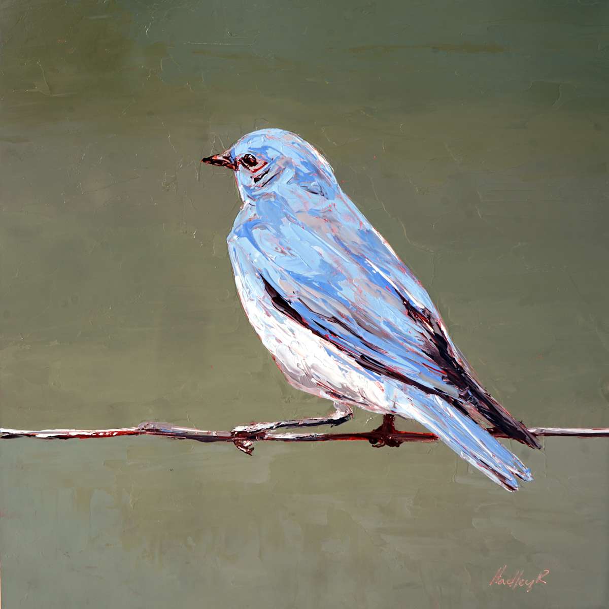 Bashful Blue by Hadley Rampton 