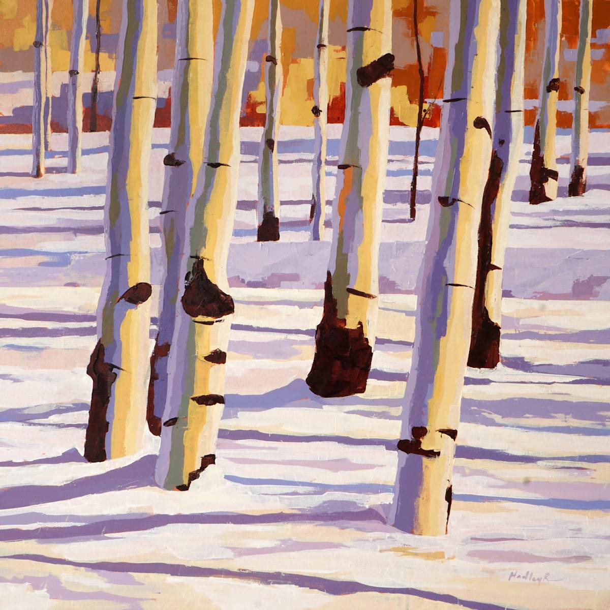 Saunter by Hadley Rampton 