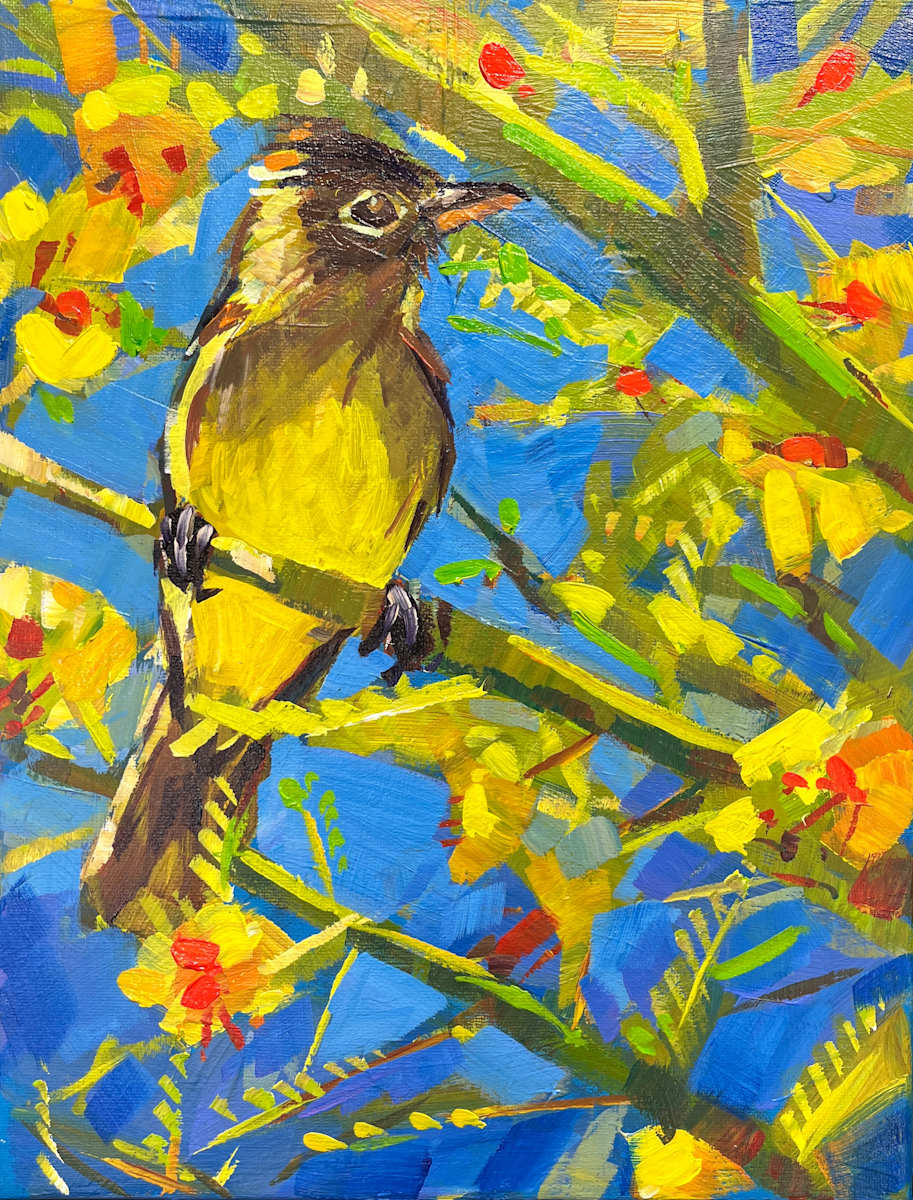 Flycatcher in Palo Verde by Laura Green, Image 2.