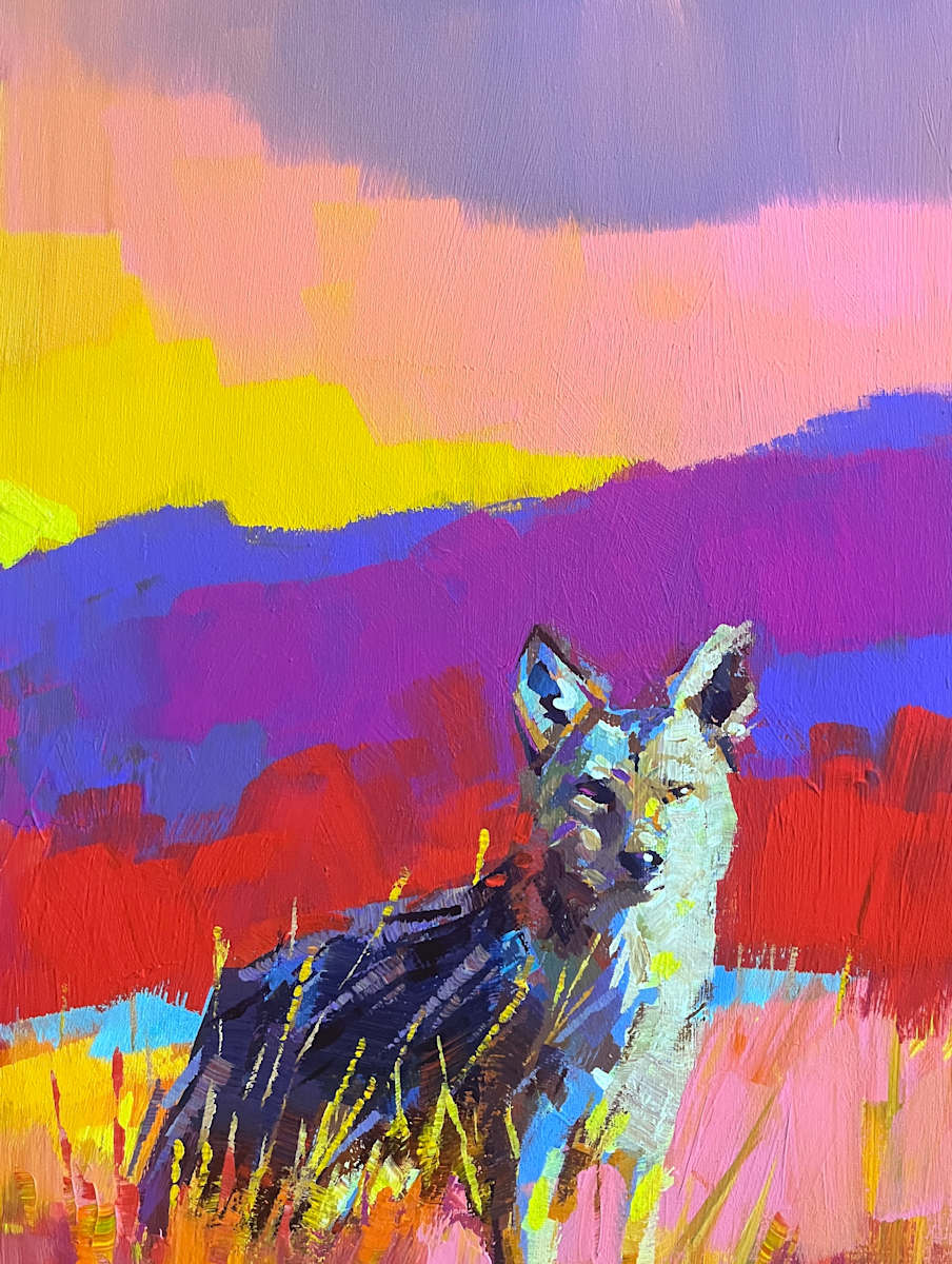 Coyote in the Desert by Laura Green, Image 1.