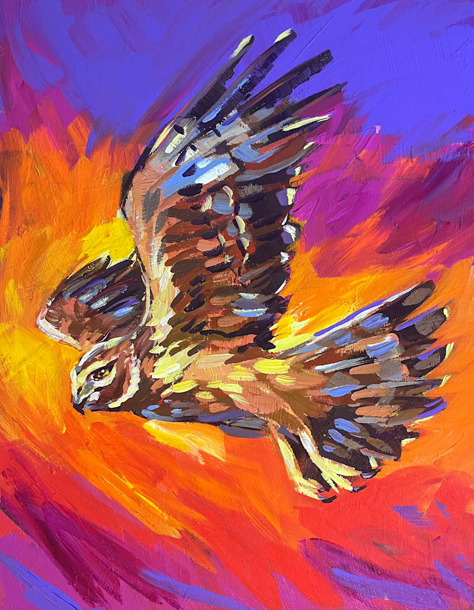 Swooping by Laura Green, Image 1.