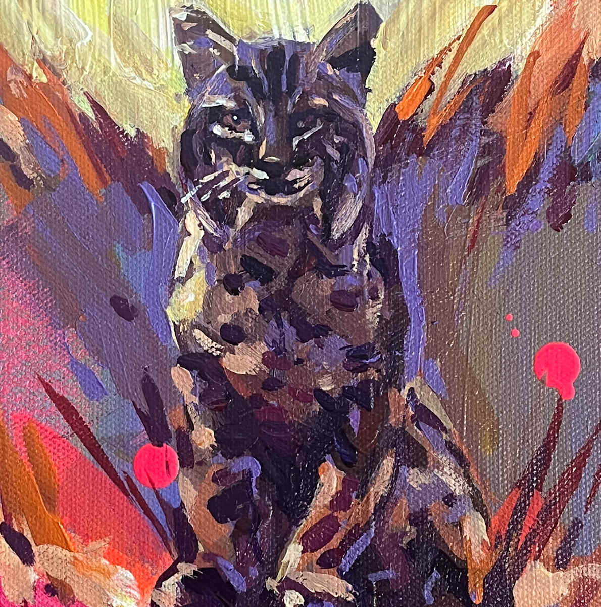 Bobcat by Laura Green 