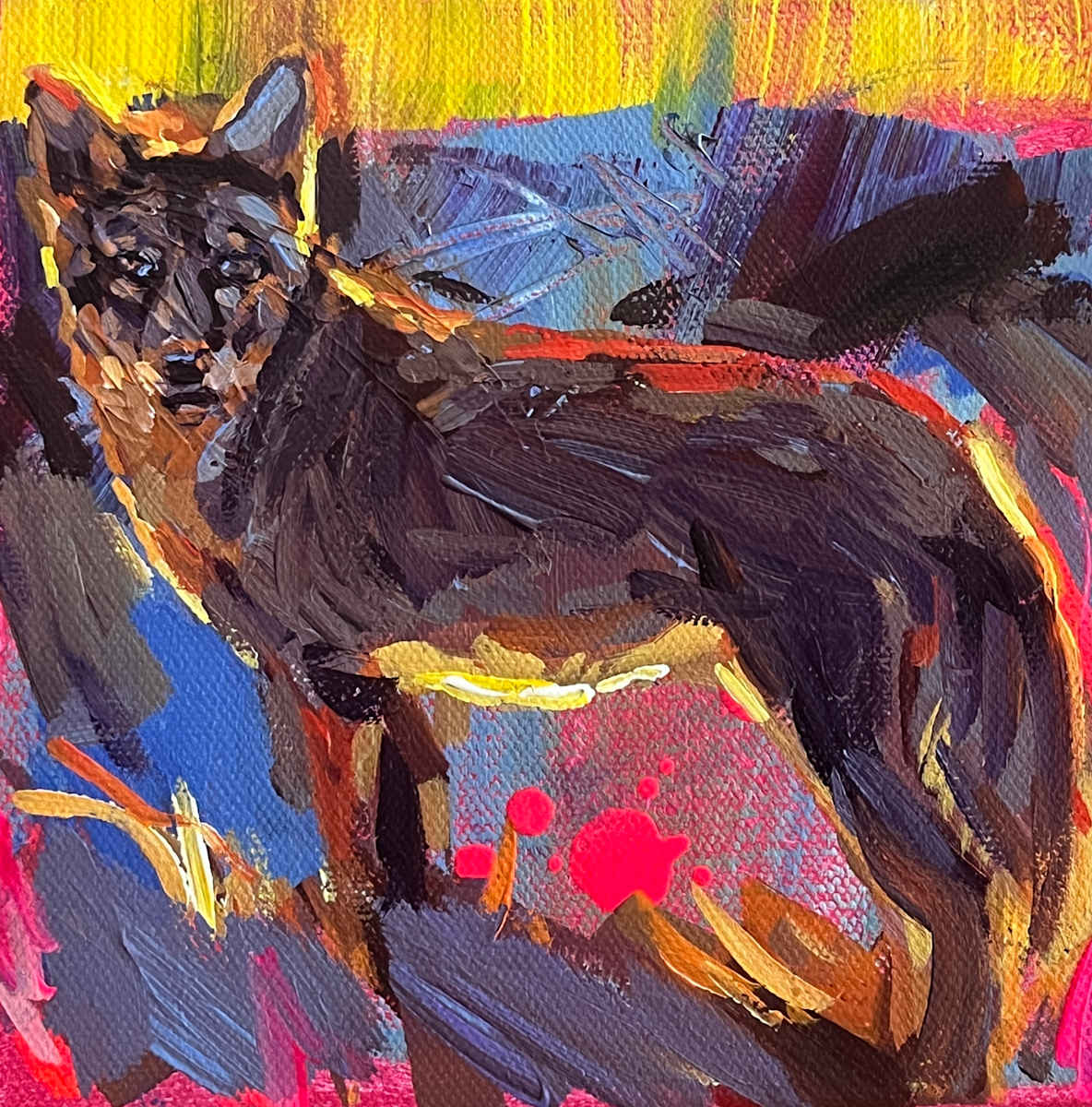 Coyote by Laura Green 